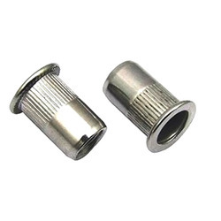 Stainless Steel Weld Nut